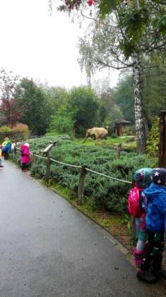 Zoo